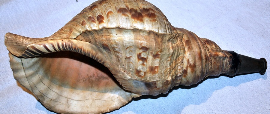 ශංඛය ශංඛය