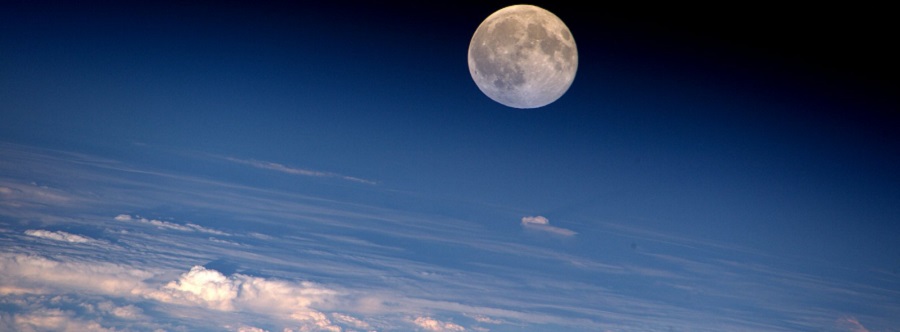 පොහොය පොහොය