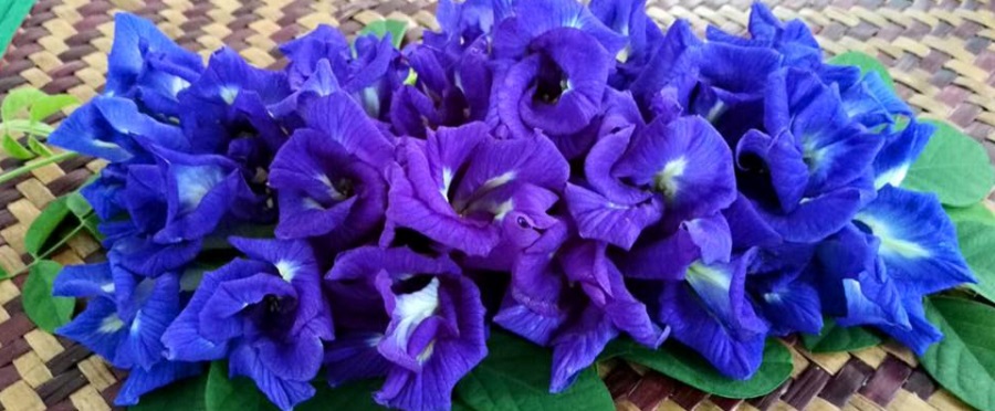 ඡන්ද ඡන්ද