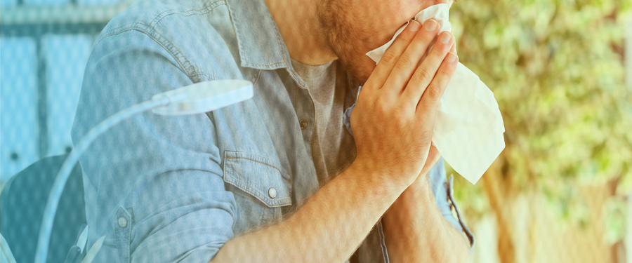 හයවෙනි හයවෙනි